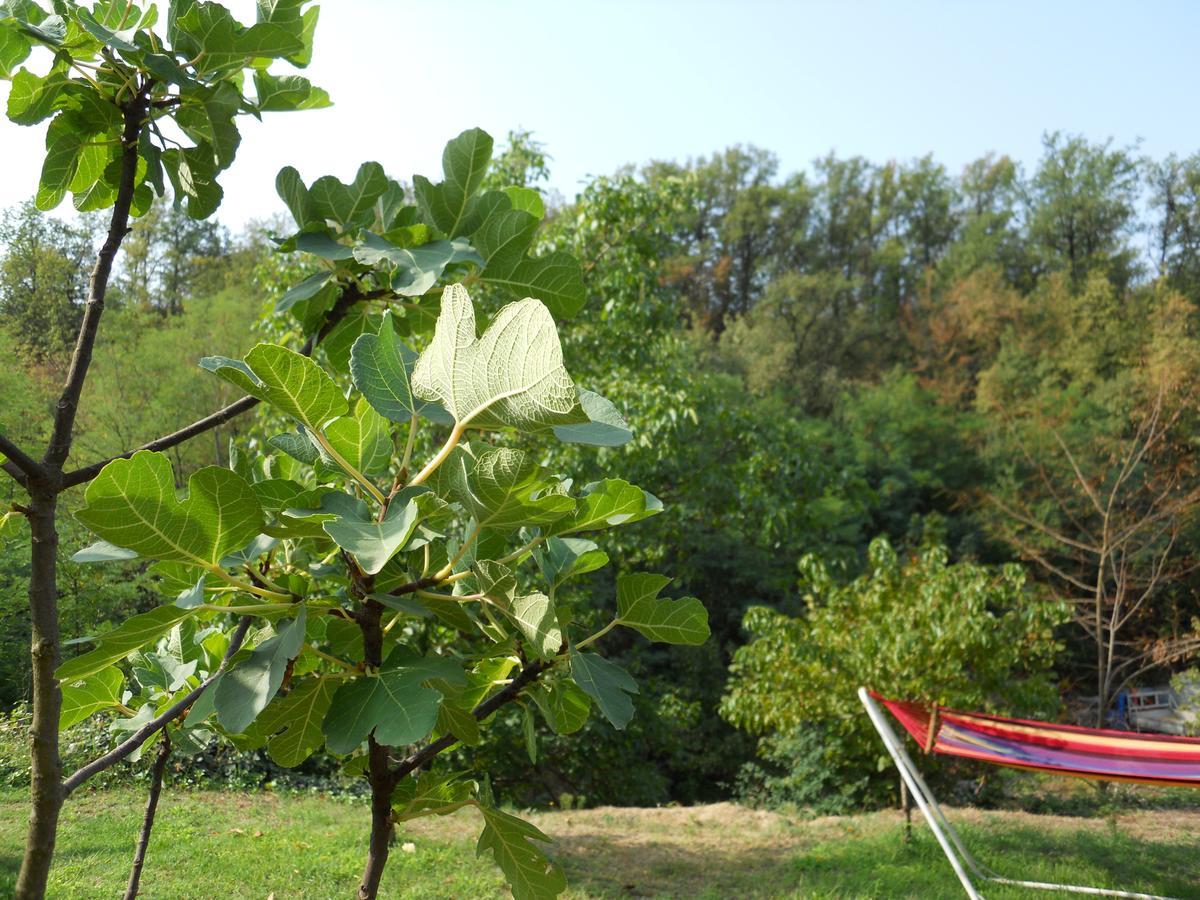 스타자노 Casa Clotilde B&B 외부 사진